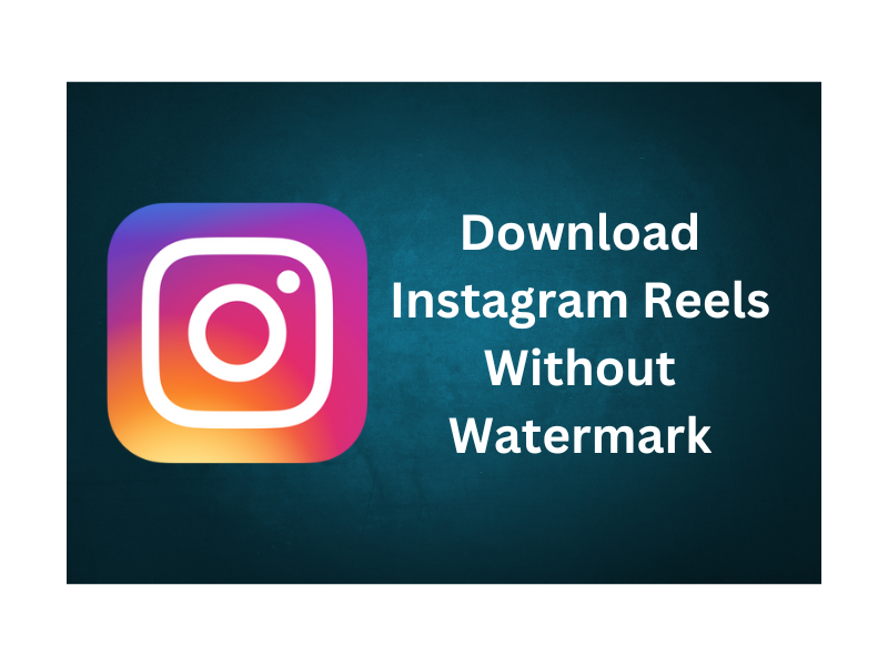 Guide To Download Instagram Reels Without Watermark